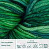 Circulo Bossa Nova Yarn, 100% Superwash Merino Wool - Premium,