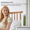 Mosslab Moss Air – Living Moss Terrarium Humidifier | Soothing