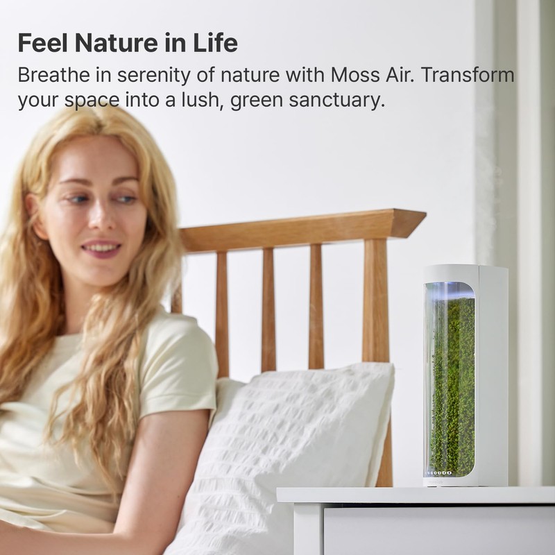 Mosslab Moss Air – Living Moss Terrarium Humidifier | Soothing