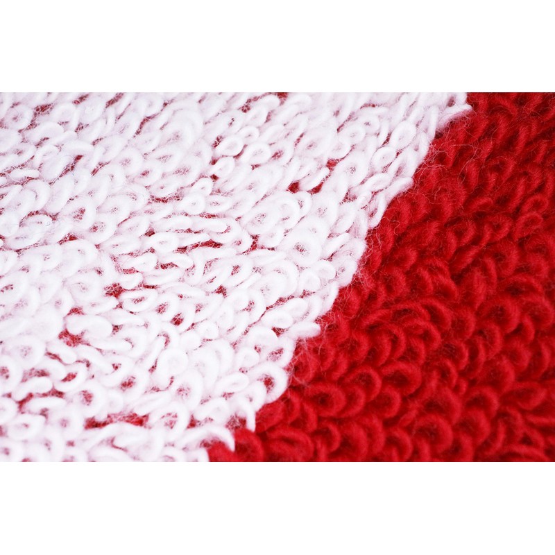 Champion 5065004000 Face Towel, Approx. 13.4 x 31.5 inches (34