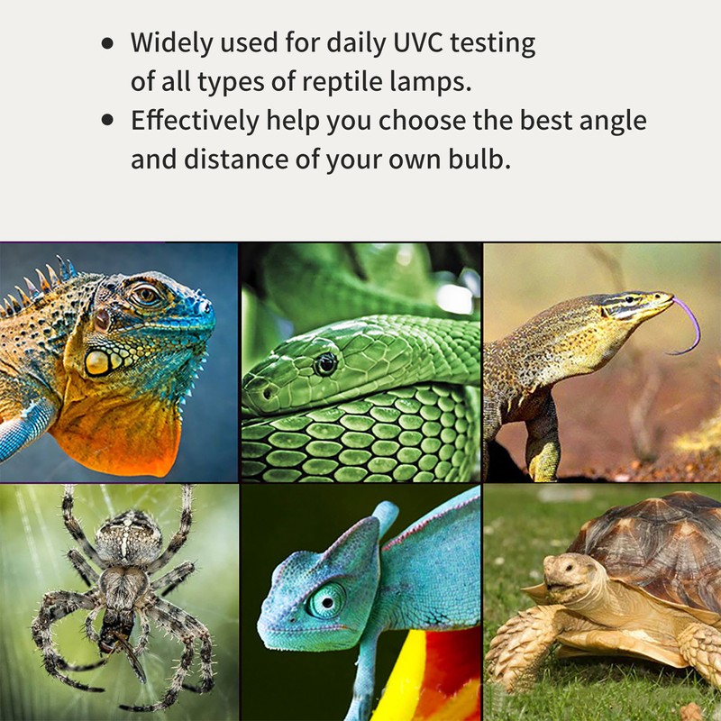 RGM-UVC Digital Illuminance Meter for Reptile UV Irradiance High Precision