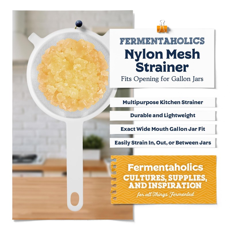 Nylon Mesh Gallon Strainers – 2 Pack – 3.75 Inch