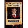 JeVenis Have You Seen This Wizard Photo Booth Prop Magician