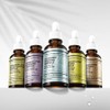 Expert Ampoule 30ml 5 types Allantoin Expert Soothing Ampoule / 엑스퍼트 앰플 30ml 5종 알란토인 엑스퍼트 수딩앰플