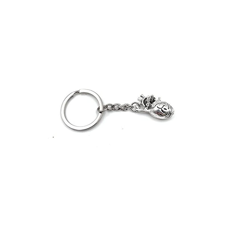 H-Customs Heart Anatomical Organ Silver Keyring Pendant, silver
