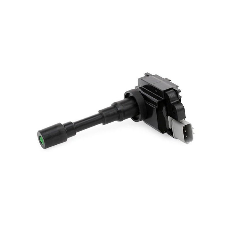 Bremi 20198 Ignition and Heating System