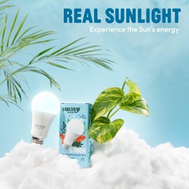 sunsy Shine - The Full-Spectrum Truly Flicker-Free Sunlight Bulb for Humans - Boosts Energy, Mood, and Circadian Rhythm for Better Health - Near Perfect CRI - US-Based Company