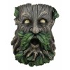 Ebros Gift Whispering Willows Evergreen Greenman Wall Hanging Planter 8"