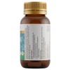 Herbs Of Gold Probiotic + Sb 60 Vege Capsules