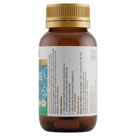 Herbs Of Gold Probiotic + Sb 60 Vege Capsules