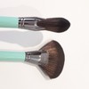 Mega Fan Brush / 메가팬 브러쉬