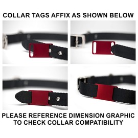 Slide-On Pet ID Tag | Collar Tag | 3 Sizes & 9 Colors to Choose from (Large, Black)