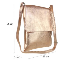 Girly Handbags Genuine Leather Cross Body Metallic Champagne