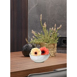 Serene Spaces Living - tazón pequeño de cerámica esmaltada con borde última intervensión, centro de mesa para bodas clásico, eventos, mide 6 pulgadas de largo, 5.5 pulgadas de ancho, 2.7 pulgadas de