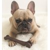 SPOT Bam-Bones Bone - Made with Strong Bamboo Fiber, Durable