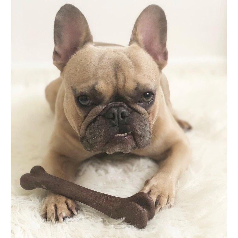 SPOT Bam-Bones Bone - Made with Strong Bamboo Fiber, Durable