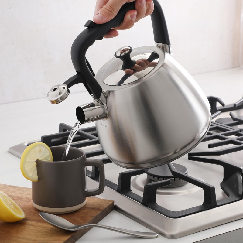 Mr. Coffee Armidale 2.5QT Whistling Tea Kettle, Large Brushed Stainless