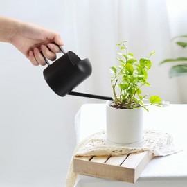 LINGSFIRE Small Watering Can for Indoor Plants, 10oz/300ml Tiny Watering Can with Long Spout, Metal Watering Can Modern Decorative, Mini Indoor Watering Can for Houseplants, Succulent, Bonsai
