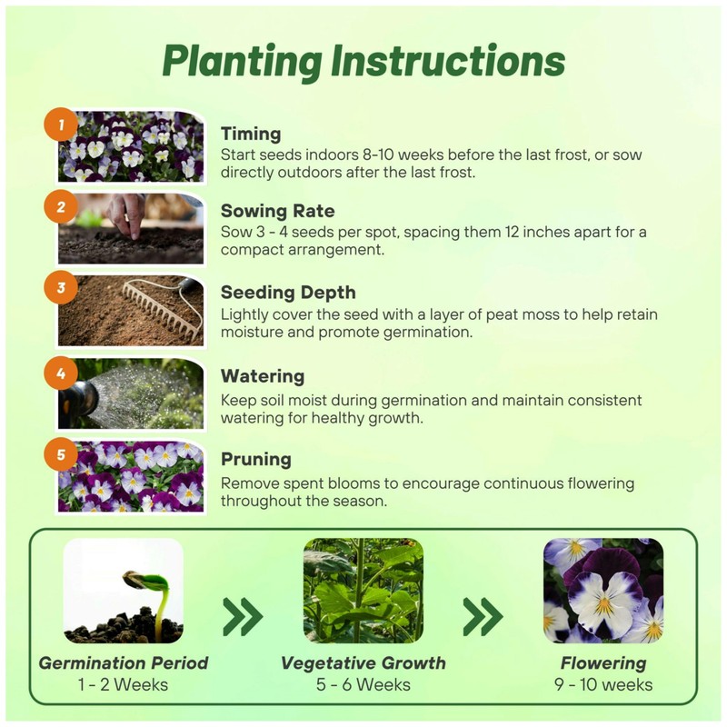 Outsidepride Cool Wave Violet Wing Viola Pansy Seeds for Planting