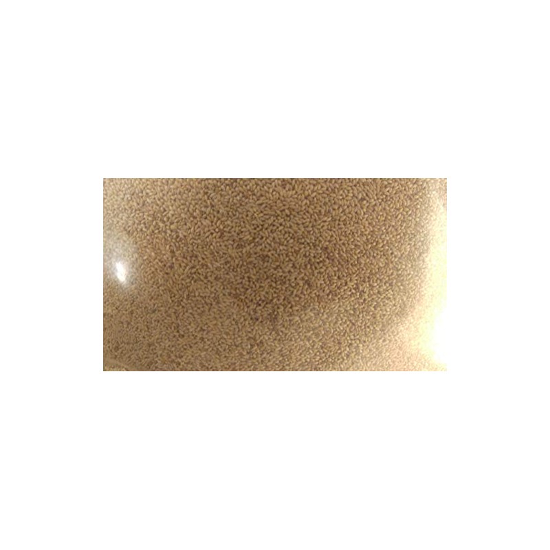 5 lb. Timothy (Climax) Grass Seed, Deer/Wildlife Food Plot Seed,