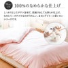 Showa Nishikawa Flat Sheet, Single, 100% Cotton, Made in Japan,