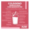 Colageno Mangostan 500 Grs Flow Sabor Natural