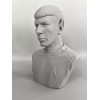 Star Trek The Original Series Spock 3D printed Bust 6.75Inches