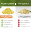 Lifebooil Pine Pollen Powder, 99% Cracked Cell Wall, 56 Servings,