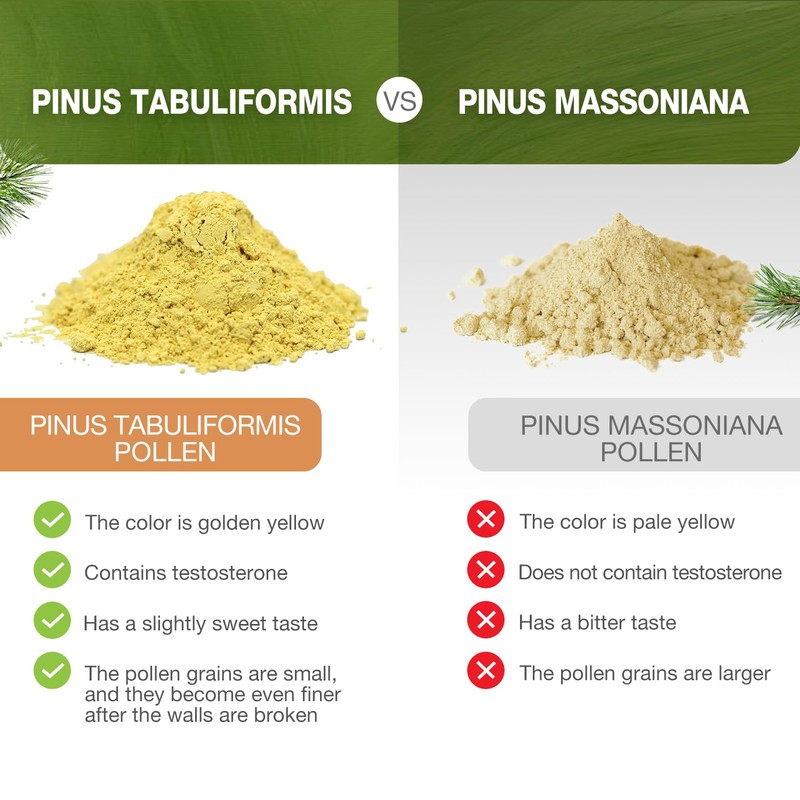 Lifebooil Pine Pollen Powder, 99% Cracked Cell Wall, 56 Servings,