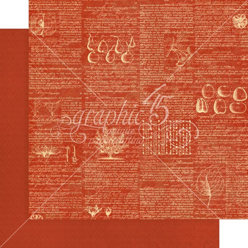 Graphic 45 Fruit & Flora Paper PRNT/Solid, Assorted, One Size