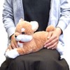 Sun Lemon Shiba Inu Lapdog Plush Beige