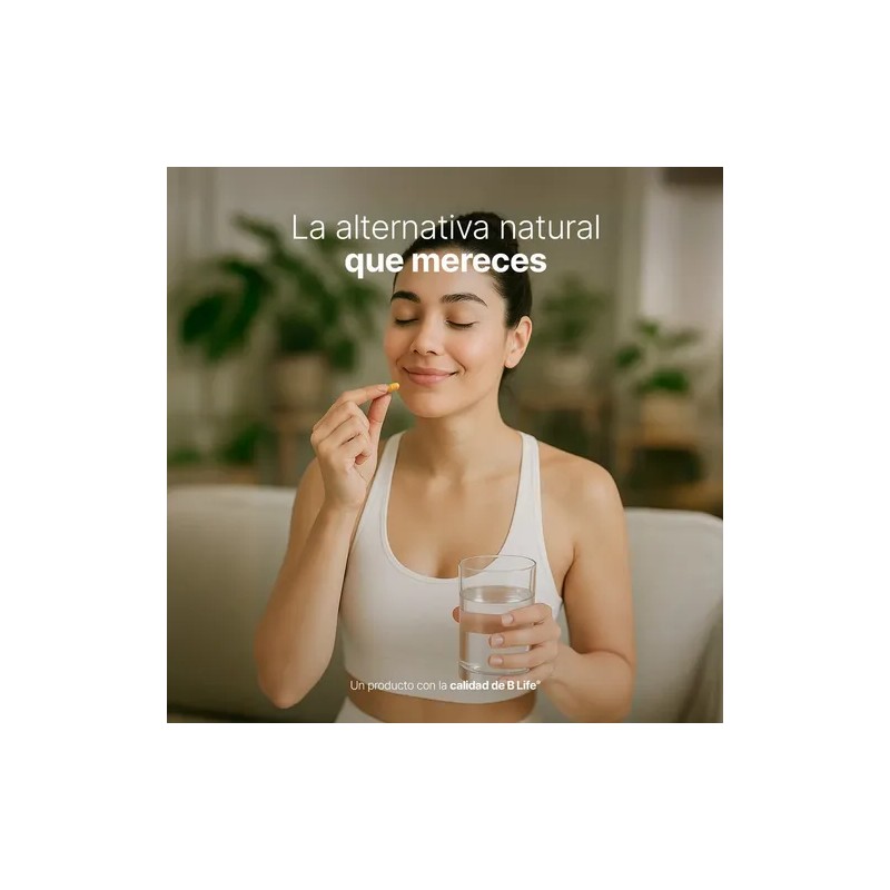 Berberina Pura 60 Cápsulas B Life 1000 Mg Pure Berberine