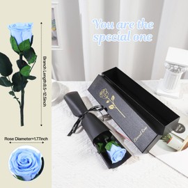 Eternal Infinity Rose Red with Stem, Gifts for Women, Eternal Rose in Gift Box, Preserved Flower for Mum, Girlfriend, Birthday Gift, Anniversary Gift, Woman (Light Blue)