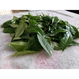 Fresh USDA Cert - 4 oz - Fresh Curry LEAVES ONLY -FREE SHIPPING-Organ