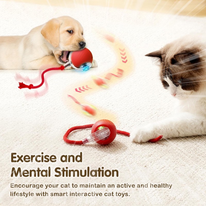 FYNDORS Interactive Rolling Cat Dog Ball, Upgraded Self Moving Toy,