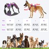 Light Up Dog Harness No Pull LED Dog Harness with