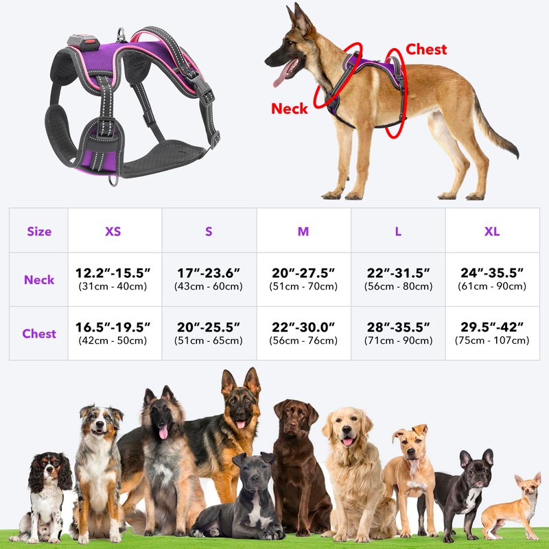 Light Up Dog Harness No Pull LED Dog Harness with