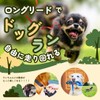 KOREWA Long Lead, 66.6 ft (20 m), Dog, Cat, Pet,