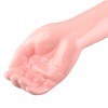 Arm Moving Model Anatomical Elbow Joint Motion Model Primary School