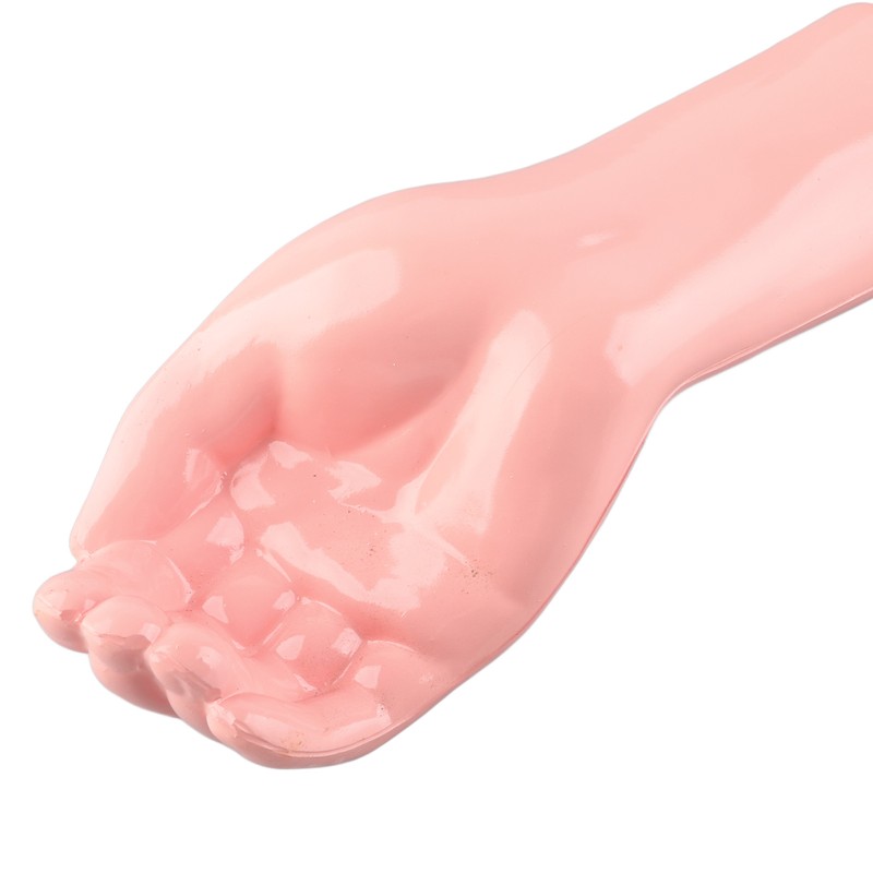 Arm Moving Model Anatomical Elbow Joint Motion Model Primary School