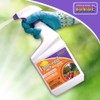 Bonide Fung-onil Multi-Purpose Fungicide, 32 oz Ready-to-Use Spray for Plant