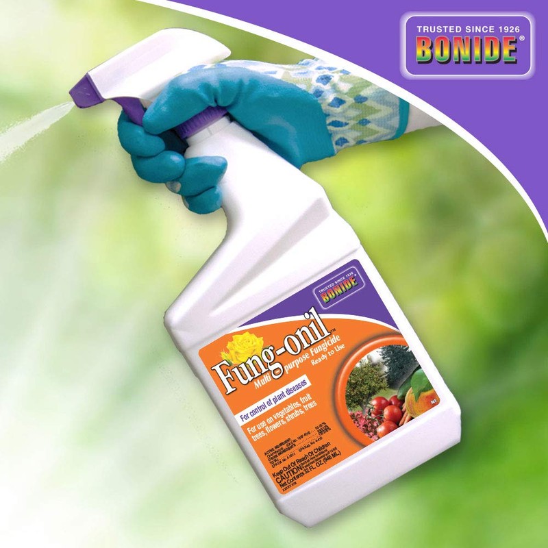Bonide Fung-onil Multi-Purpose Fungicide, 32 oz Ready-to-Use Spray for Plant