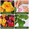 6 Bundles UV Resistant Artificial Geraniums Indoor Outdoor Decor