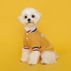 FLOT Designer Dog Shirt with Buttons Premium Materials Tailored Fit