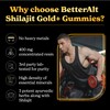 Better Alt Gold+ Shilajit Gummies | with Ashwagandha & Safed