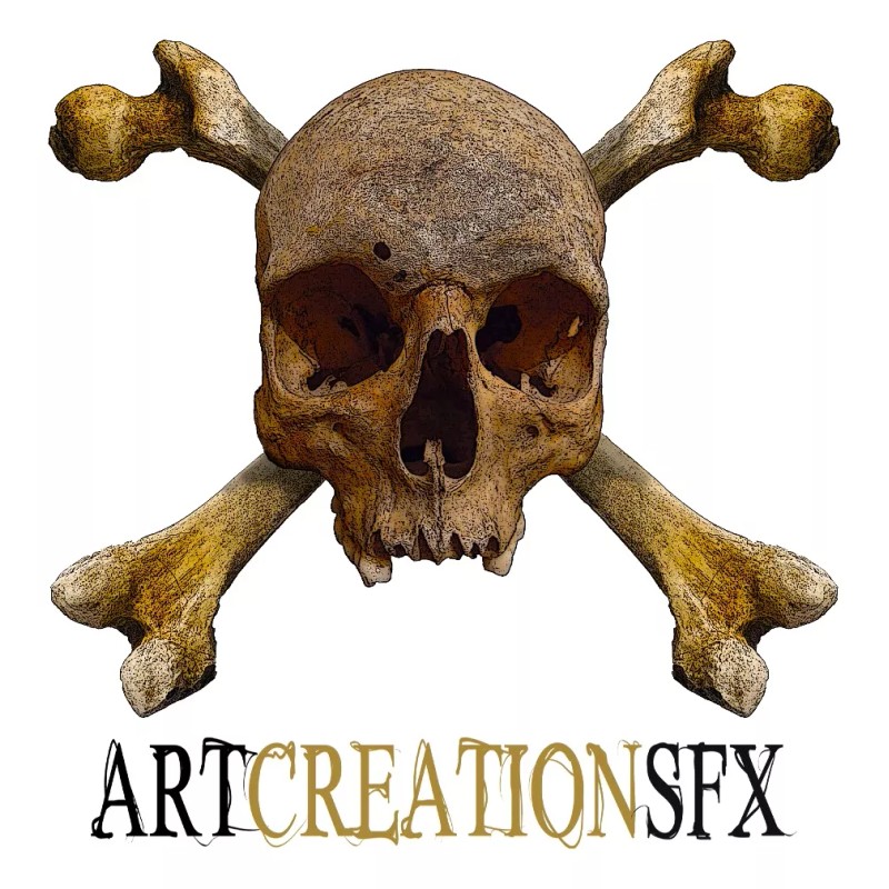 ARTCREATIONSFX Modelo Anatómico De 1 Fémur (resina) Artcreationsfx