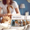 2025 Wall Calendar – 12 Monthly Funny Calendar 2025, Jan