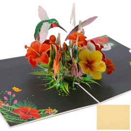 Hummingbird 3D Pop Up Card - Birthday Greeting Cards,Anniversary Card for Mom Women Wife Girls Lover, with Envelope and Note Tag (Hummingbird)