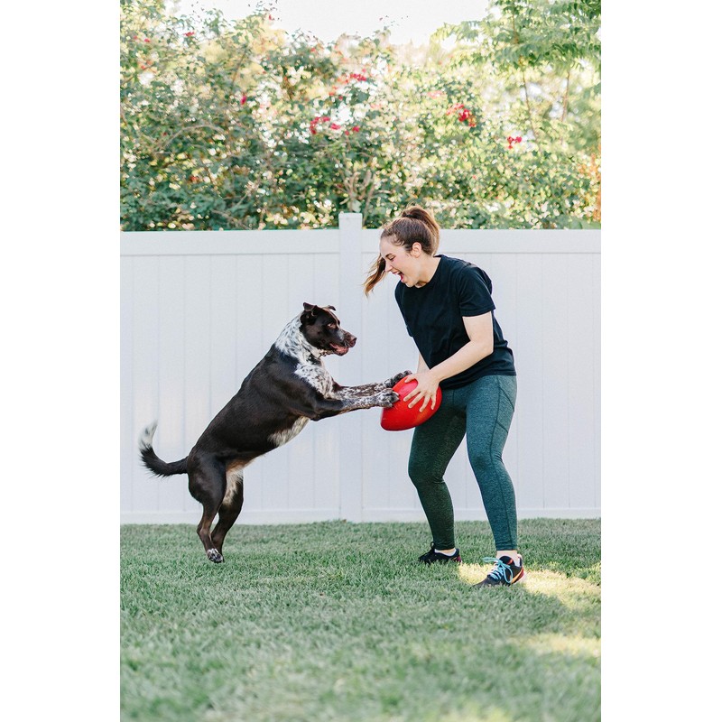 Jolly Pets Jolly Egg Dog Toy, 12 Inches/Large, Yellow