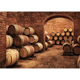 Loccor 7x5ft Fabric Wine Cellar Backdrop for Photography Underground Wine Cellar Wine Barrels Vintage Brick Floor Photography Background Bar Club Background Photo Props
